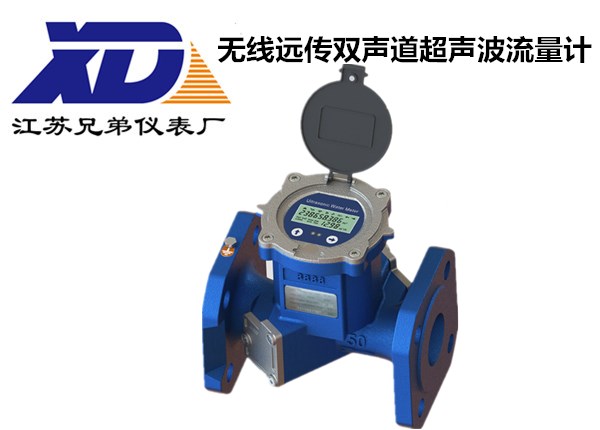 無線遠傳雙聲道超聲波流量計XDY-T3-1