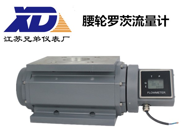 腰輪羅茨流量計