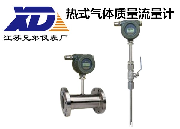 熱式氣體質量流量計