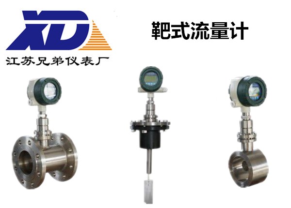 靶式流量計