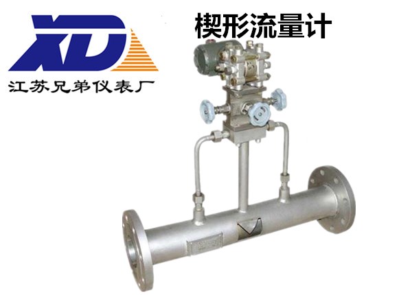 楔形流量計