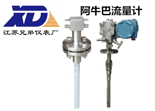 阿牛巴流量計-江蘇兄弟儀表廠
