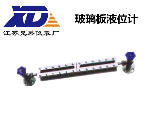 玻璃板液位計
