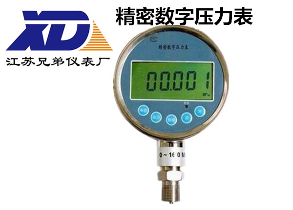 精密數(shù)字壓力表