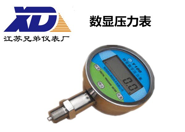 數(shù)顯壓力表
