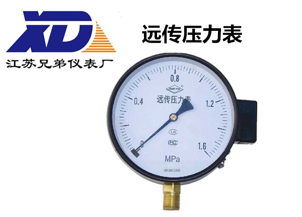 遠(yuǎn)傳壓力表