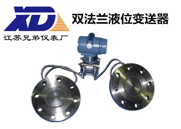 雙法蘭液位變送器