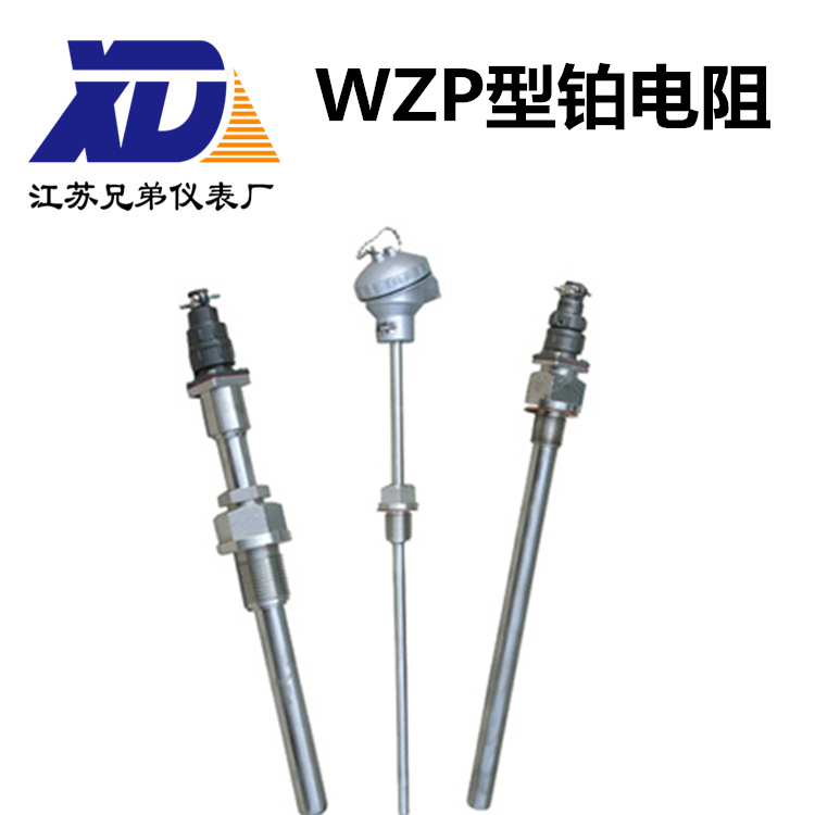 WZP型鉑電阻