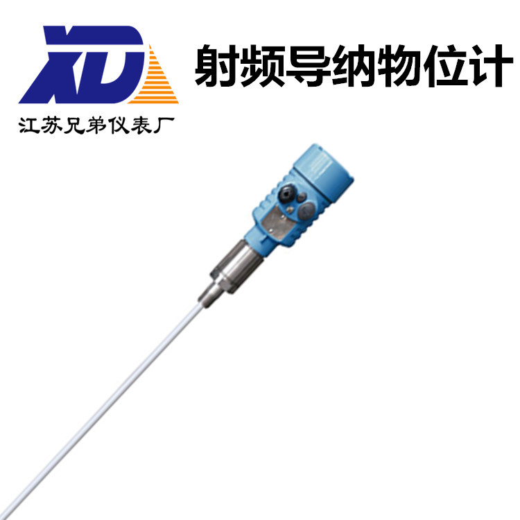 射頻導(dǎo)納物位計(jì)XDYSPZ16