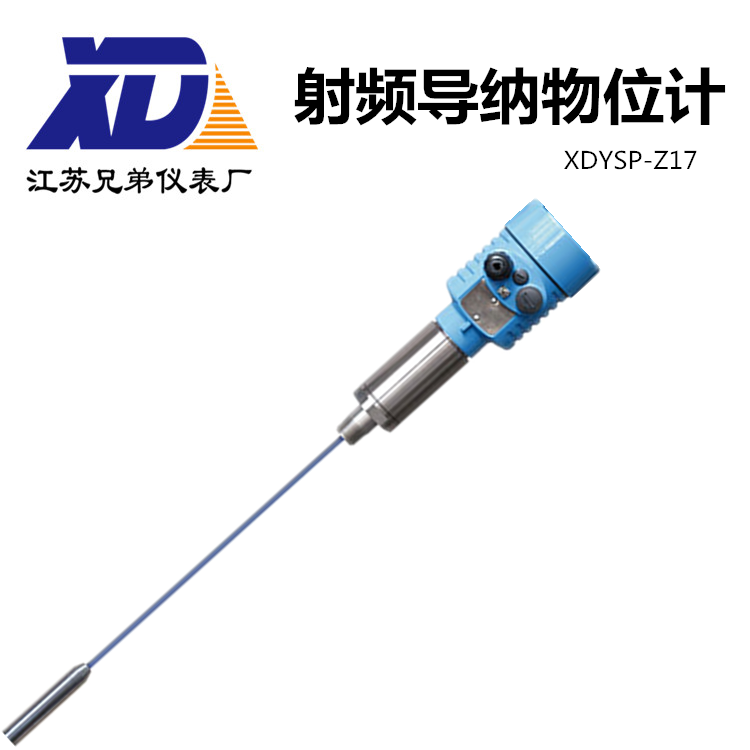 射頻導(dǎo)納物位計(jì)XDYSP-Z17