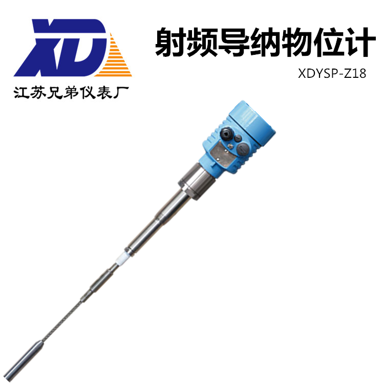 射頻導(dǎo)納物位計(jì)XDYSP-Z18